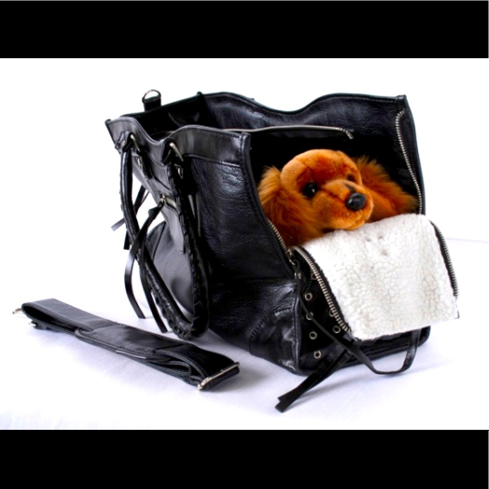 In search of this exact pet carrier